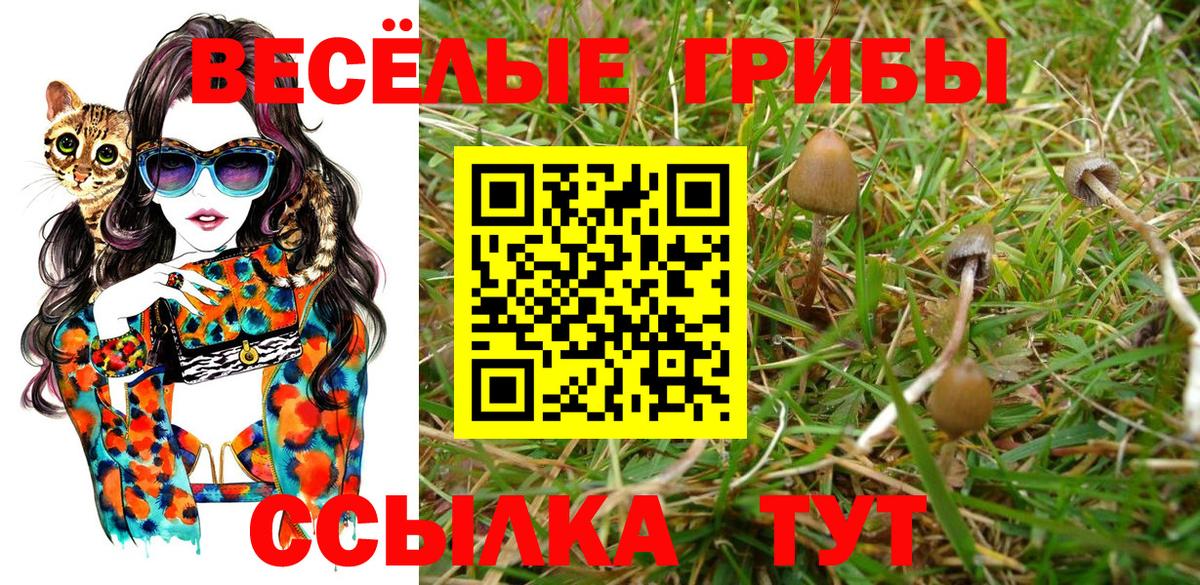 Галлюциногенные грибы прущие грибы Торжок
