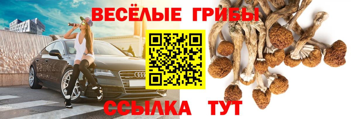 Торжок  Псилоцибиновые грибы GOLDEN TEACHER  Вход с VPN 